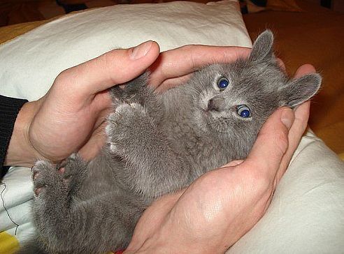 Наталья Матвиенко