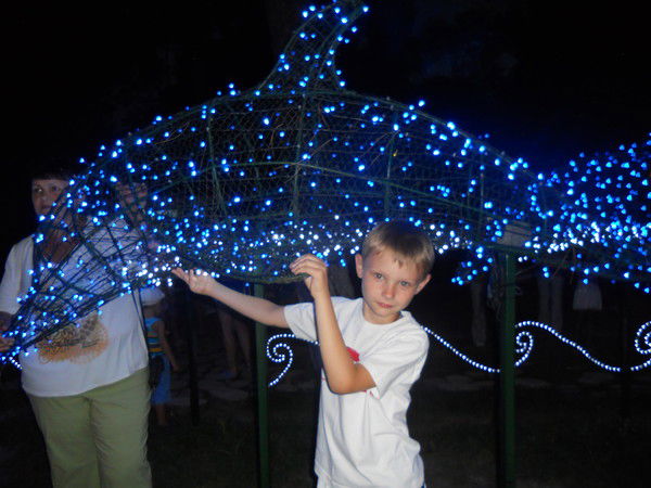 Антон Павленко