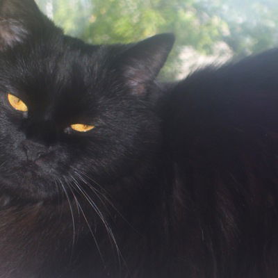 Мария Ефимова