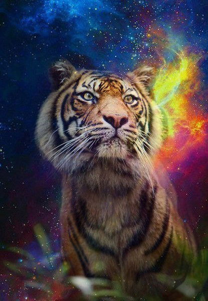 Екатерина Болотнова