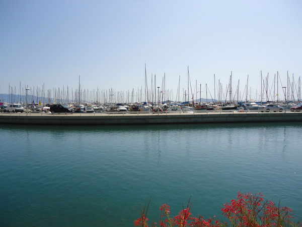 Наталья Котова