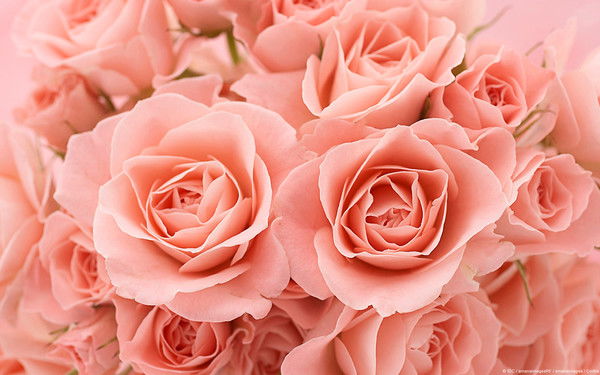 Любовь Астафьева