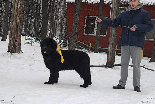 Михаил Брук