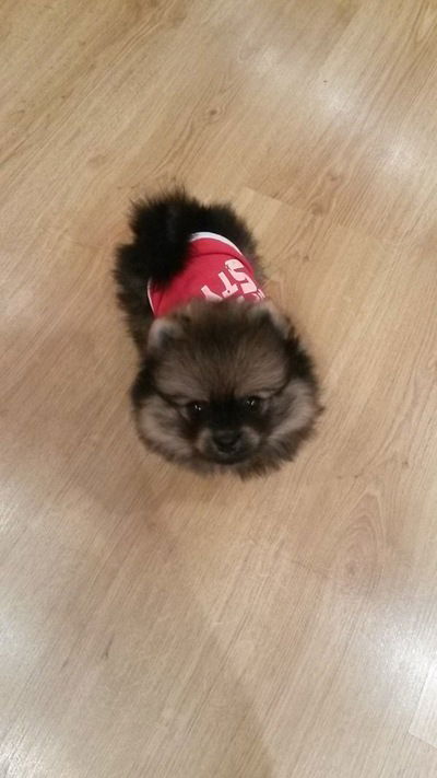 Анастасия Ветлужских