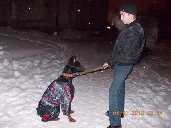 Илья Гвоздев