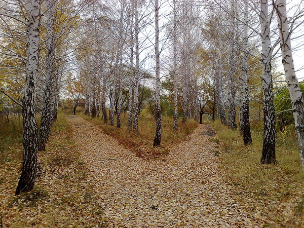 Николай Волковенко