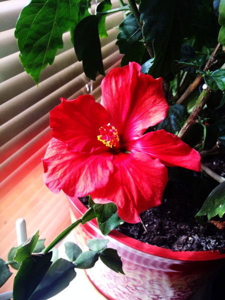 Марина Титова