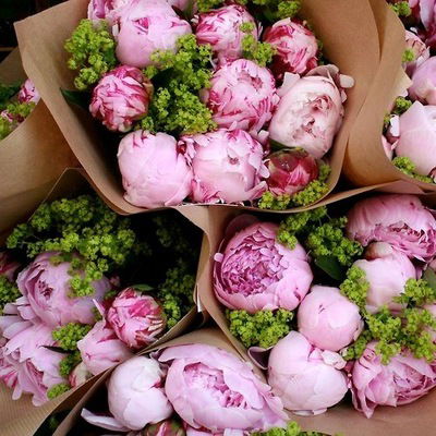 Анна Ильдиярова