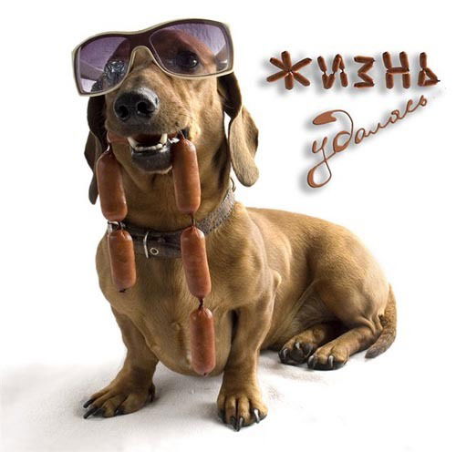 Cтройнов Коляка