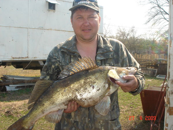 Андрей Легенький