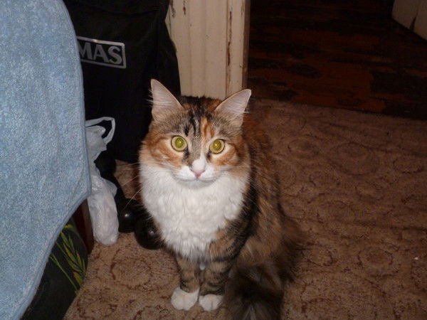 Татьяна Хлебникова