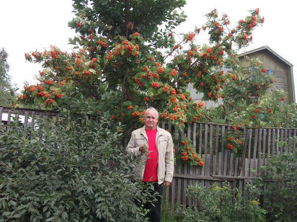 Виктор Шмунк