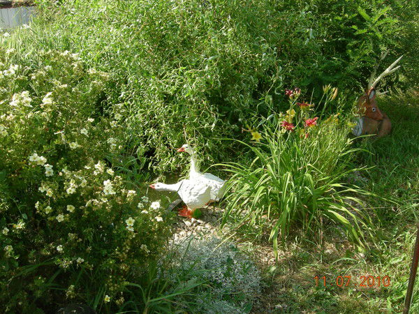 Татьяна Болдырева