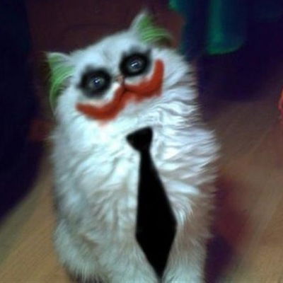 Влад Бачинський