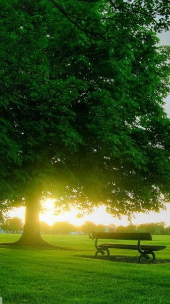 Багила Пернебаева