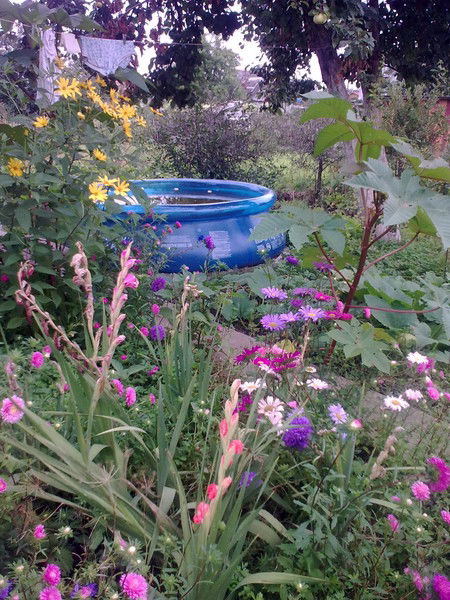 Дженнет Салимгареева