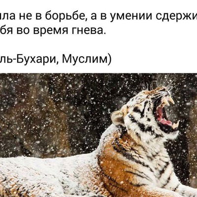 Сырым Сырым