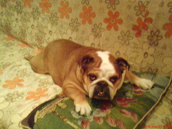 Маргарита Согомонян