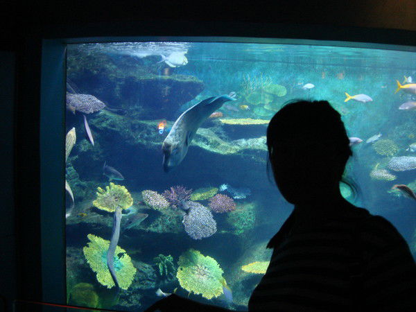 Назгуль Токтомбаева