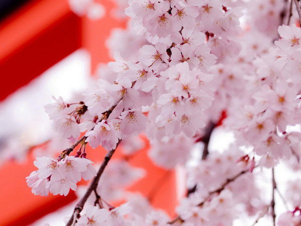 Людмила Дегтярь