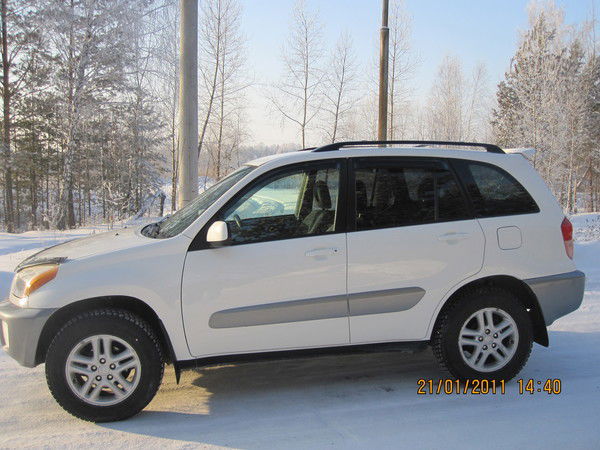 Смородинка Смит