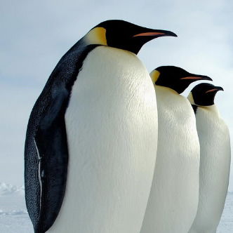 Вита Дудыкина