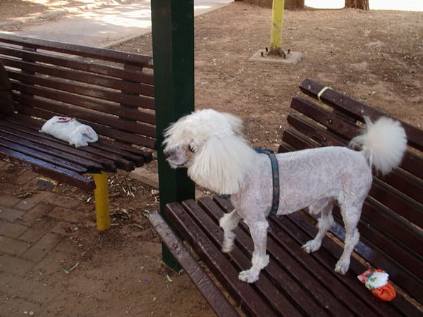 Ефим Марголин