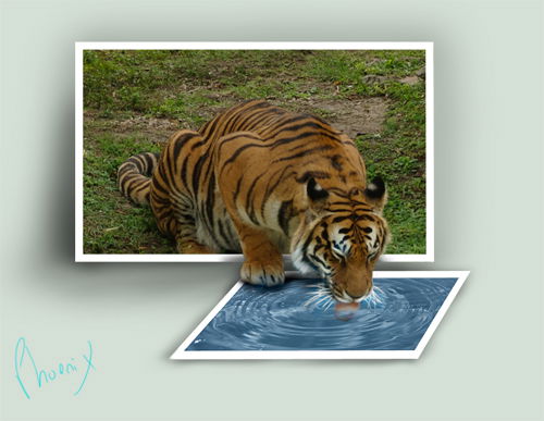 Дмитрий Лысенко