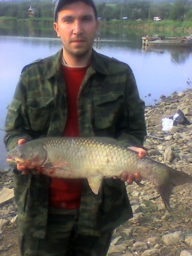 Сергей Чуцков