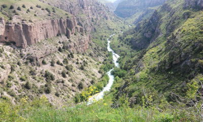 Алимжан Тургинбаев