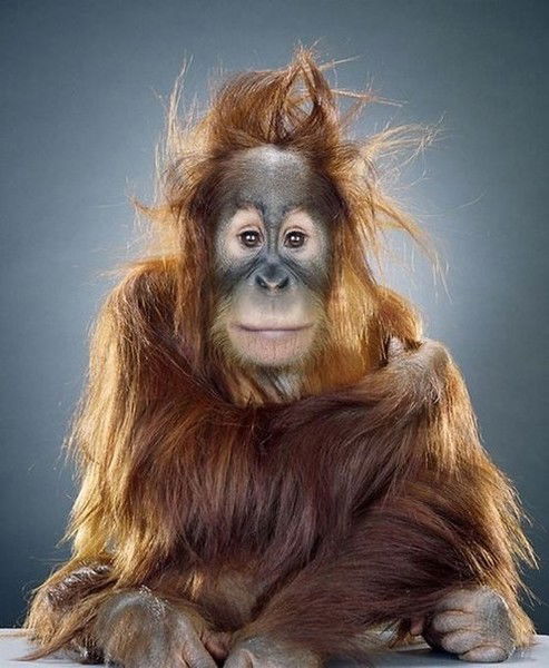 Анатолий Косяк