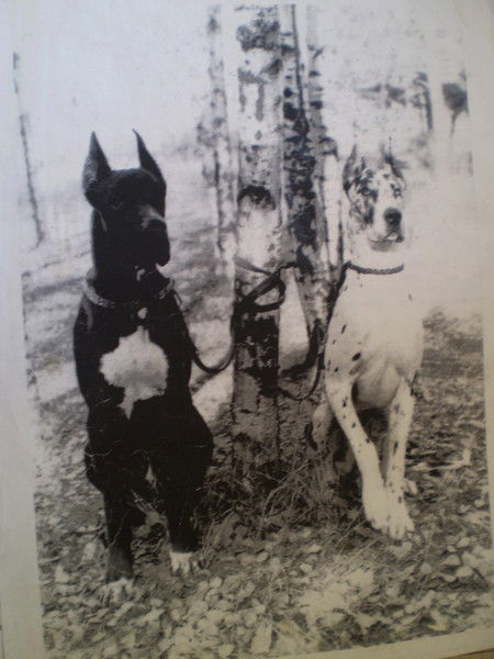 Михаил Пшеничнов