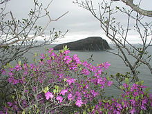 Виктория Линдун