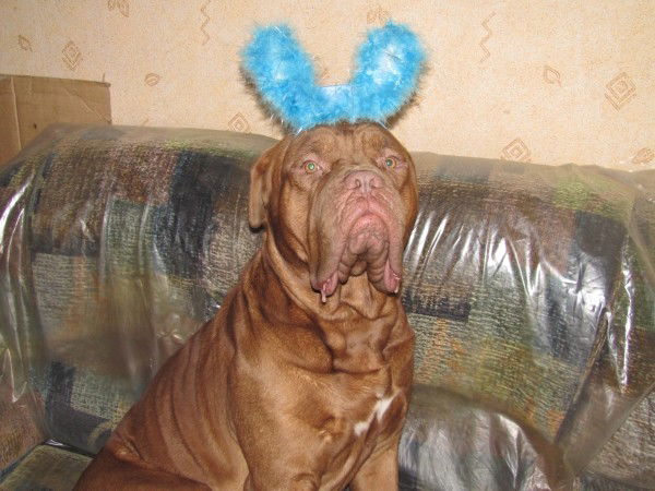 Екатерина Травкина