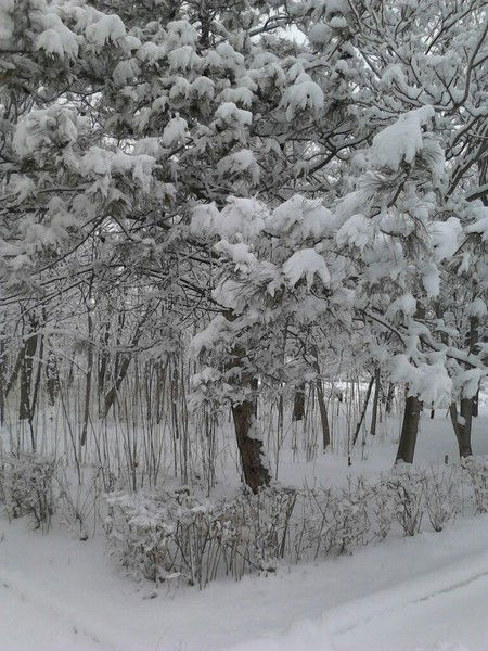 Юрий Толстых