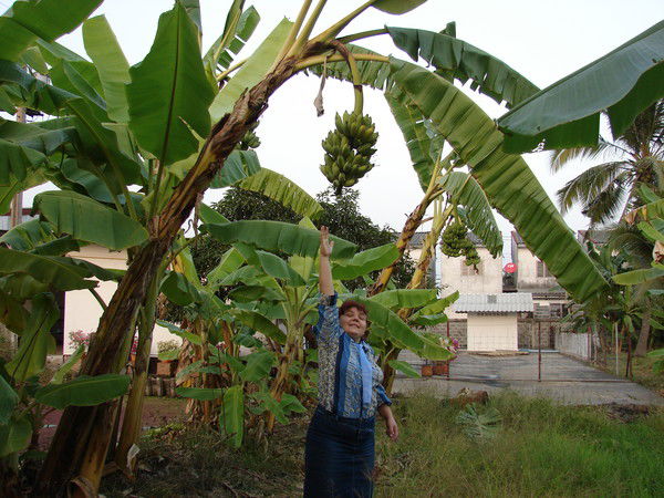 Надежда Спичка