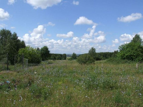 Светлана Меркулова