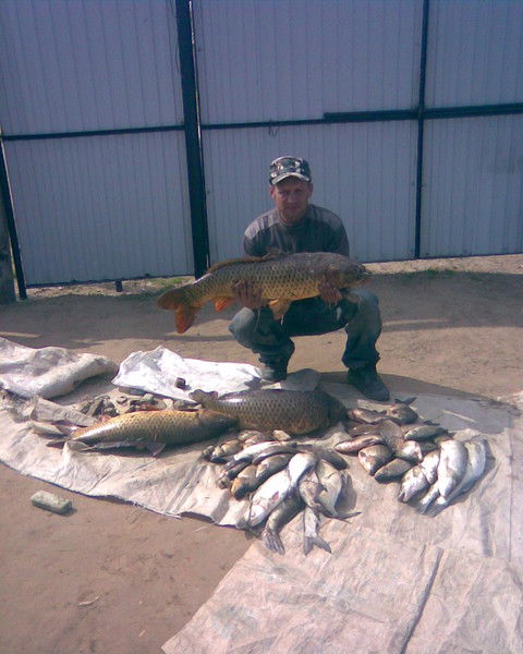 Валерий Кравцов