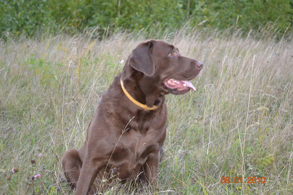 Татьяна Петрова