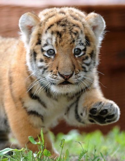 Лилия Зайко