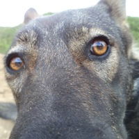 Ольга Бакунина