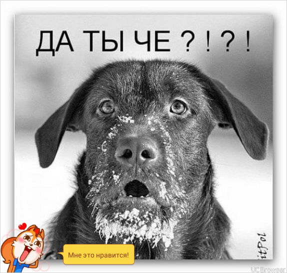 Баур Сарбалиев