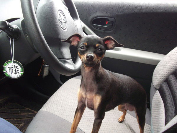 Надежда Кононенко