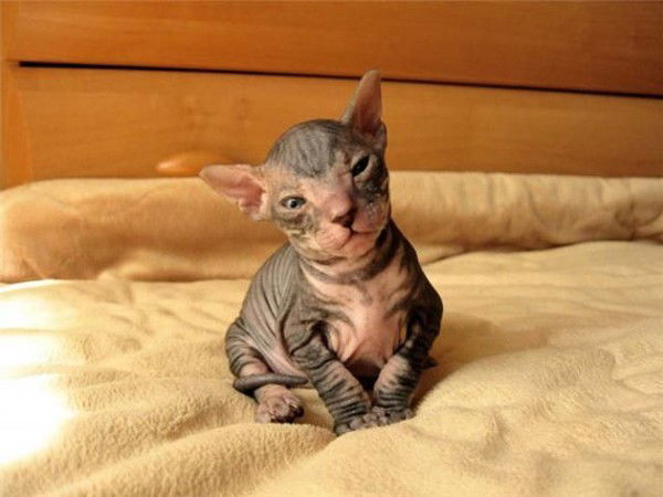 Надежда Захарьева