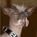 Руслан Тропин