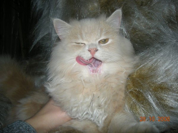 Екатерина Давыдова :)