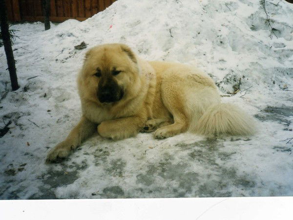 Борис Фокин