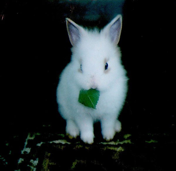 Екатерина Смольникова