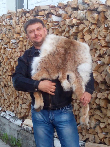 Андрей Татарко