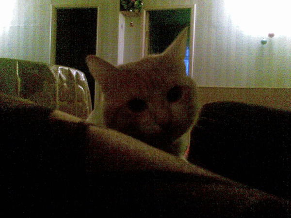 Айгуль Татлибаева